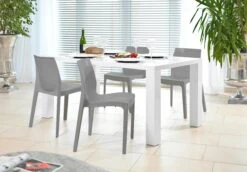 SalesFever Designer Stuhl | Komplett Aus Speziellem Kunststoff | Stapelbar | Indoor Und Outdoor Geeignet | B 52 X T 50 X H 81 Cm | Grau -SalesFever 16890c64 551e 427a b9ac 0c24e4d71176