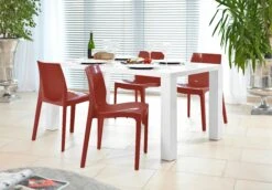SalesFever Designer Stuhl | Komplett Aus Speziellem Kunststoff | Stapelbar | Indoor Und Outdoor Geeignet | B 52 X T 50 X H 81 Cm | Rot -SalesFever 9060b77d b7b1 47dd 86df 95a7b08edcf1